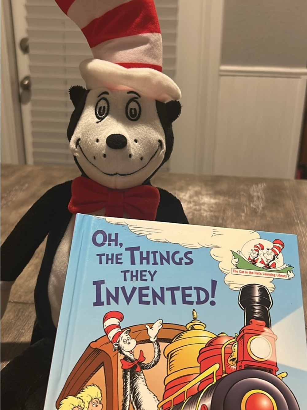 2006 hardcover book and cat in the hat plush